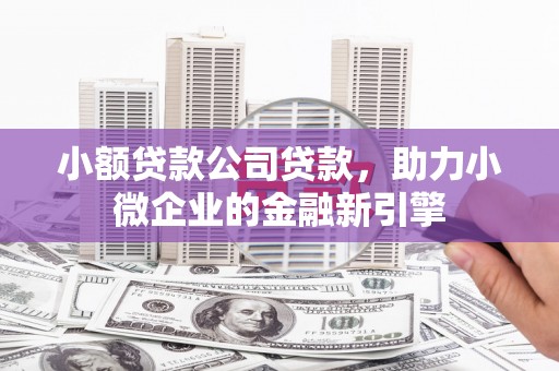 埤头小额贷款公司贷款，助力小微企业的金融新引擎