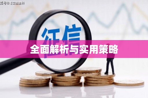 埤头全面解析与实用策略