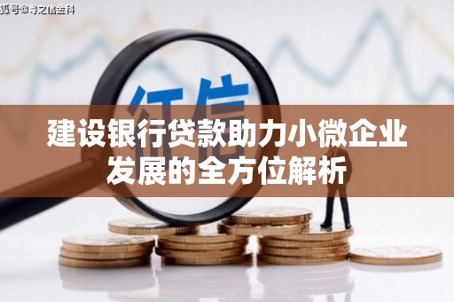 埤头建设银行贷款助力小微企业发展的全方位解析