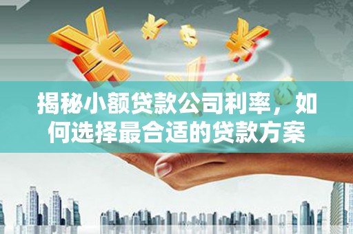 埤头揭秘小额贷款公司利率，如何选择最合适的贷款方案