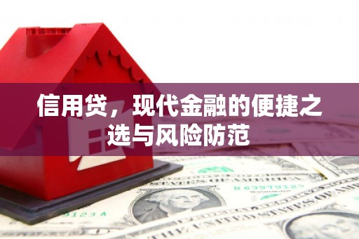 埤头信用贷，现代金融的便捷之选与风险防范