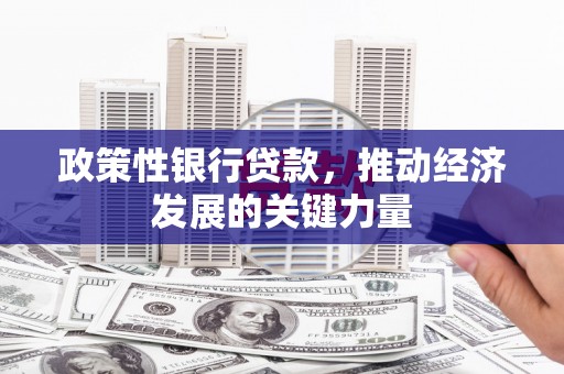 埤头政策性银行贷款，推动经济发展的关键力量