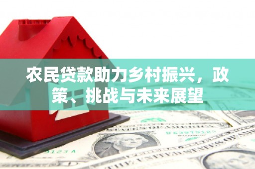 埤头农民贷款助力乡村振兴，政策、挑战与未来展望