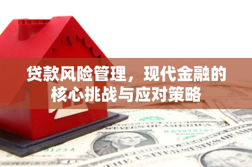 埤头贷款风险管理，现代金融的核心挑战与应对策略