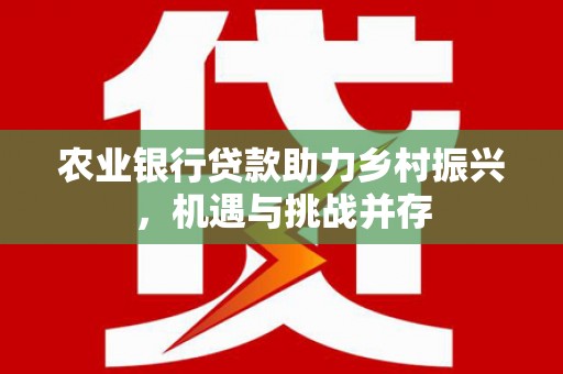 埤头农业银行贷款助力乡村振兴，机遇与挑战并存