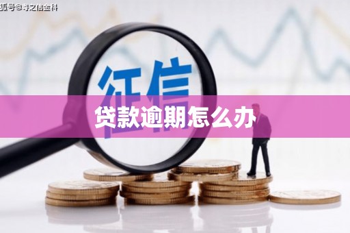 埤头贷款逾期怎么办