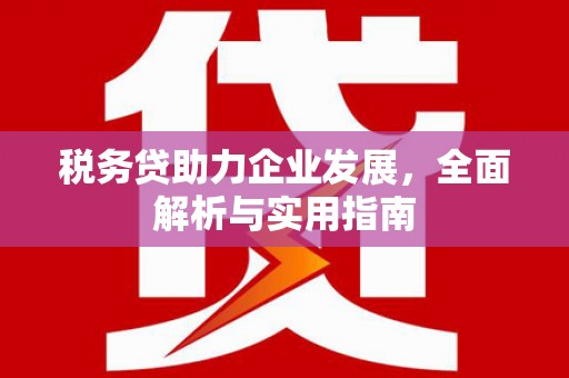 埤头税务贷助力企业发展，全面解析与实用指南