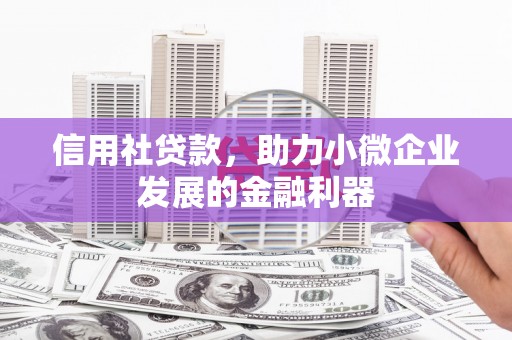 埤头信用社贷款，助力小微企业发展的金融利器