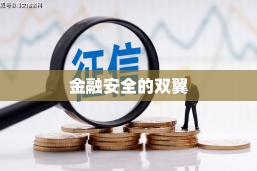 埤头金融安全的双翼