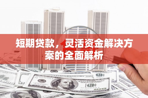 埤头短期贷款，灵活资金解决方案的全面解析