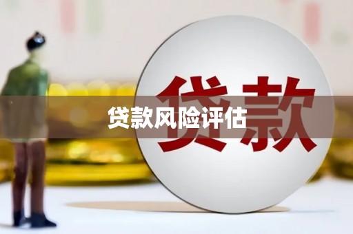 埤头贷款风险评估