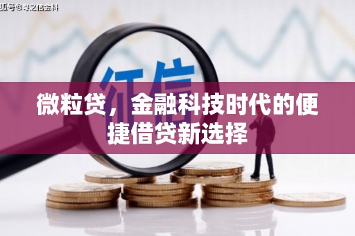 埤头微粒贷，金融科技时代的便捷借贷新选择