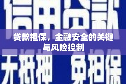 埤头贷款担保，金融安全的关键与风险控制
