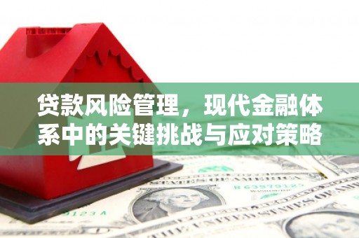 埤头贷款风险管理，现代金融体系中的关键挑战与应对策略