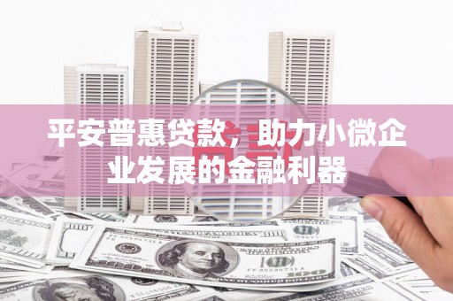 埤头平安普惠贷款，助力小微企业发展的金融利器