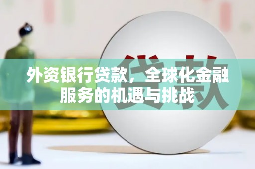 埤头外资银行贷款，全球化金融服务的机遇与挑战