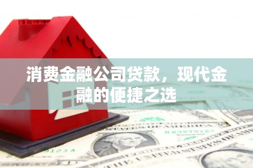 埤头消费金融公司贷款，现代金融的便捷之选