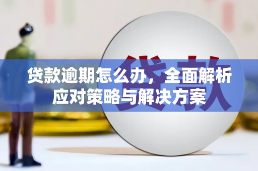 埤头贷款逾期怎么办，全面解析应对策略与解决方案