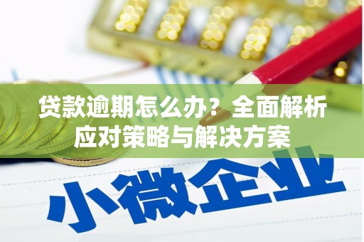 埤头贷款逾期怎么办？全面解析应对策略与解决方案