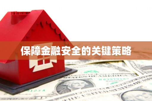 埤头保障金融安全的关键策略