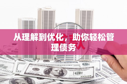 埤头从理解到优化，助你轻松管理债务