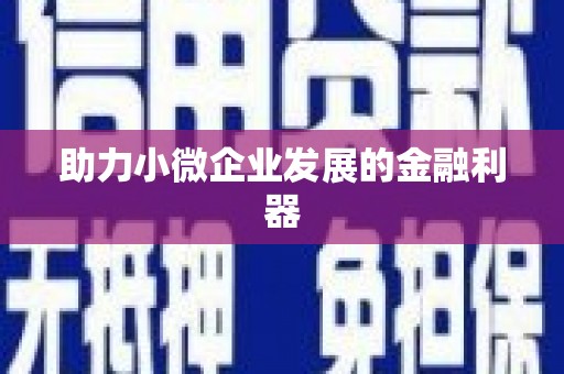 埤头助力小微企业发展的金融利器