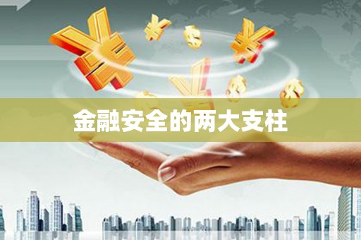埤头金融安全的两大支柱