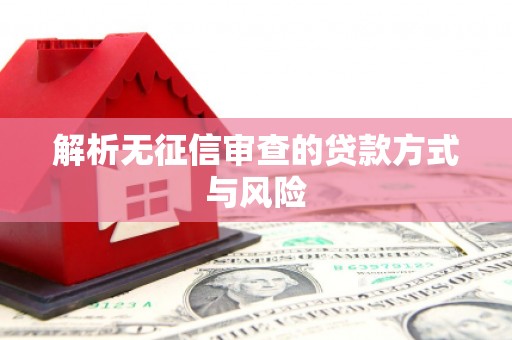 埤头解析无征信审查的贷款方式与风险