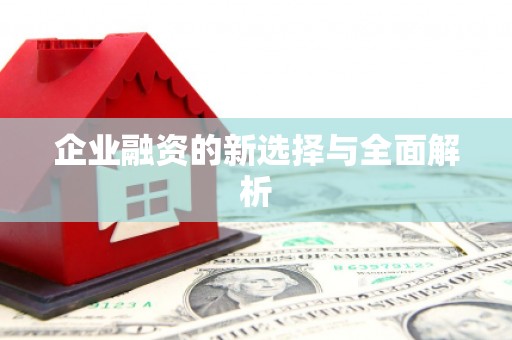 埤头企业融资的新选择与全面解析