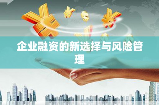 埤头企业融资的新选择与风险管理