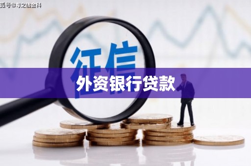 埤头外资银行贷款