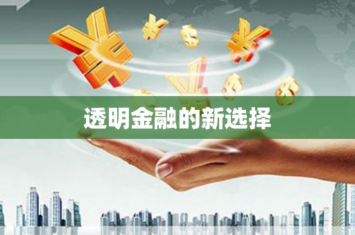 埤头透明金融的新选择