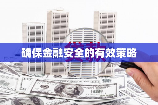 埤头确保金融安全的有效策略